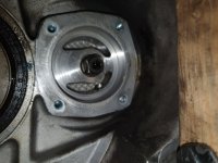 20201231_175204.jpg