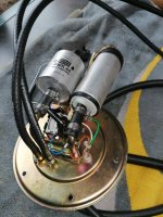 IMG_20200804_110155.jpg