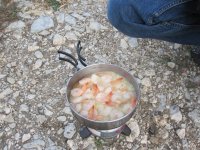 IMG_2900.jpg