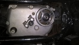 WP_20210413_09_08_01_Pro.jpg