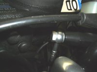 DSCF0003 (Large).JPG