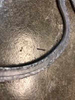 94E16BDF-810A-499A-9A26-C9BDB5DDFD45.jpg