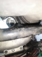 IMG_20210517_190604.jpg