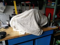 IMG_20210519_140434_gedreht.jpg