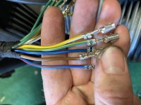 115CAAF3-44FF-457E-A142-77EE0DD1BCDE.jpg