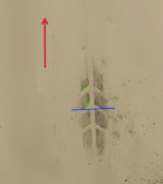 Lasertec Front V.jpg
