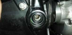 IMG_20210923_185701.jpg