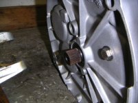 PICT16332.jpg