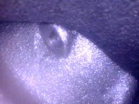 20211109_114413047_iOS.jpg