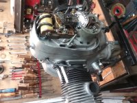 Halter mit Motor.jpg