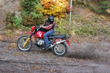 IMG_7441.jpg