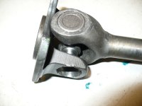 P1120100a.jpg