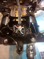 IMG_20220103_185306.jpg