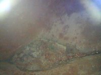 WIN_20220119_20_55_35_Pro.jpg
