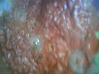 WIN_20220119_20_59_01_Pro.jpg