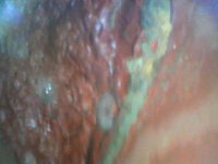 WIN_20220119_20_59_06_Pro.jpg