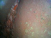 WIN_20220119_20_59_18_Pro.jpg