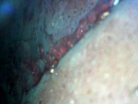 WIN_20220119_21_30_03_Pro.jpg