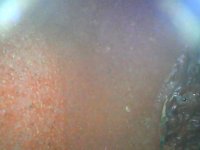 WIN_20220119_21_48_17_Pro.jpg