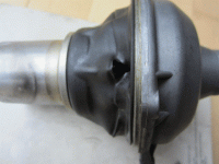 IMG_7313.1.gif