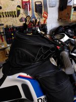 IMG_20220227_145651.jpg
