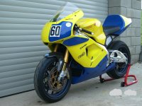 RSV Mille - Kopie (5)_LI.jpg