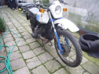 jo9.jpg