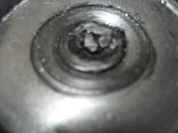 IMG_5441.jpg