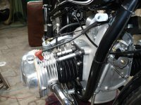 P1020921z.jpg