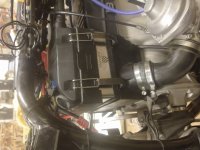 IMG_20210327_195616244.jpg