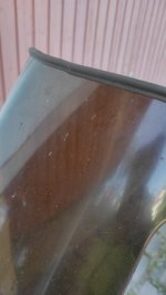 IMG_20220519_084348.jpg