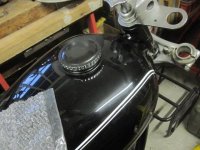 IMG_7935.JPG
