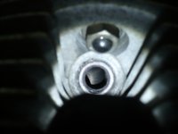 P1140032a.jpg
