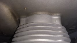 IMG_20220620_215916.jpg