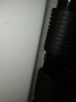 IMG_20220927_173205.jpg