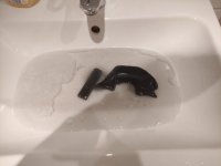 IMG_20221029_190505.jpg