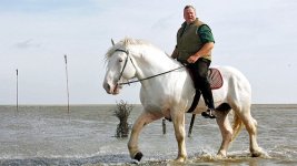xxlostfriese193_v-contentgross.jpg