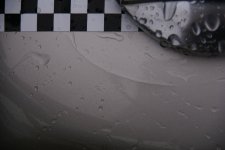 DSC02746.jpg