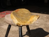 IMG_0288.jpg
