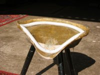 IMG_0289.jpg