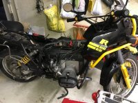 R80, das Bienchen.jpg