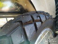 IMG_20220803_163136.jpg