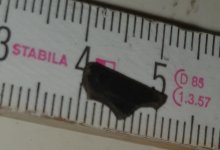 20230318_185017.jpg