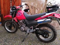 IMG_20220128_172740.jpg