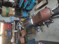IMG_20230509_130339.jpg