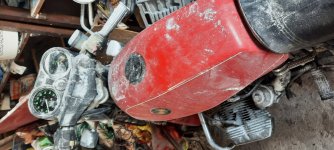 IMG_1051.jpeg