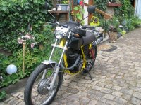 IMG_0241.jpg