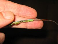 ST83_2023-06-23_06.jpg