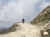 IMG_5585.jpg