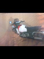IMG_1333.jpg